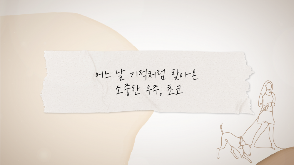 slide67 : 반려견 장례