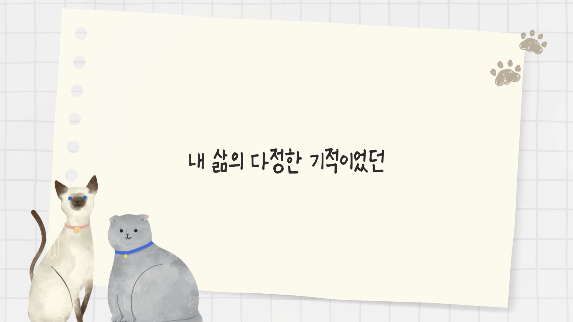 slide69 : 반려묘 장례