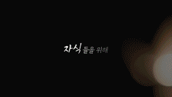Tree : 나무