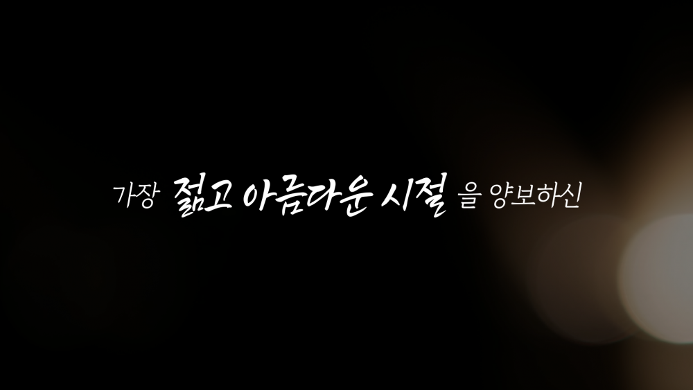 Tree : 나무
