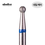 아발리코 비트-31번