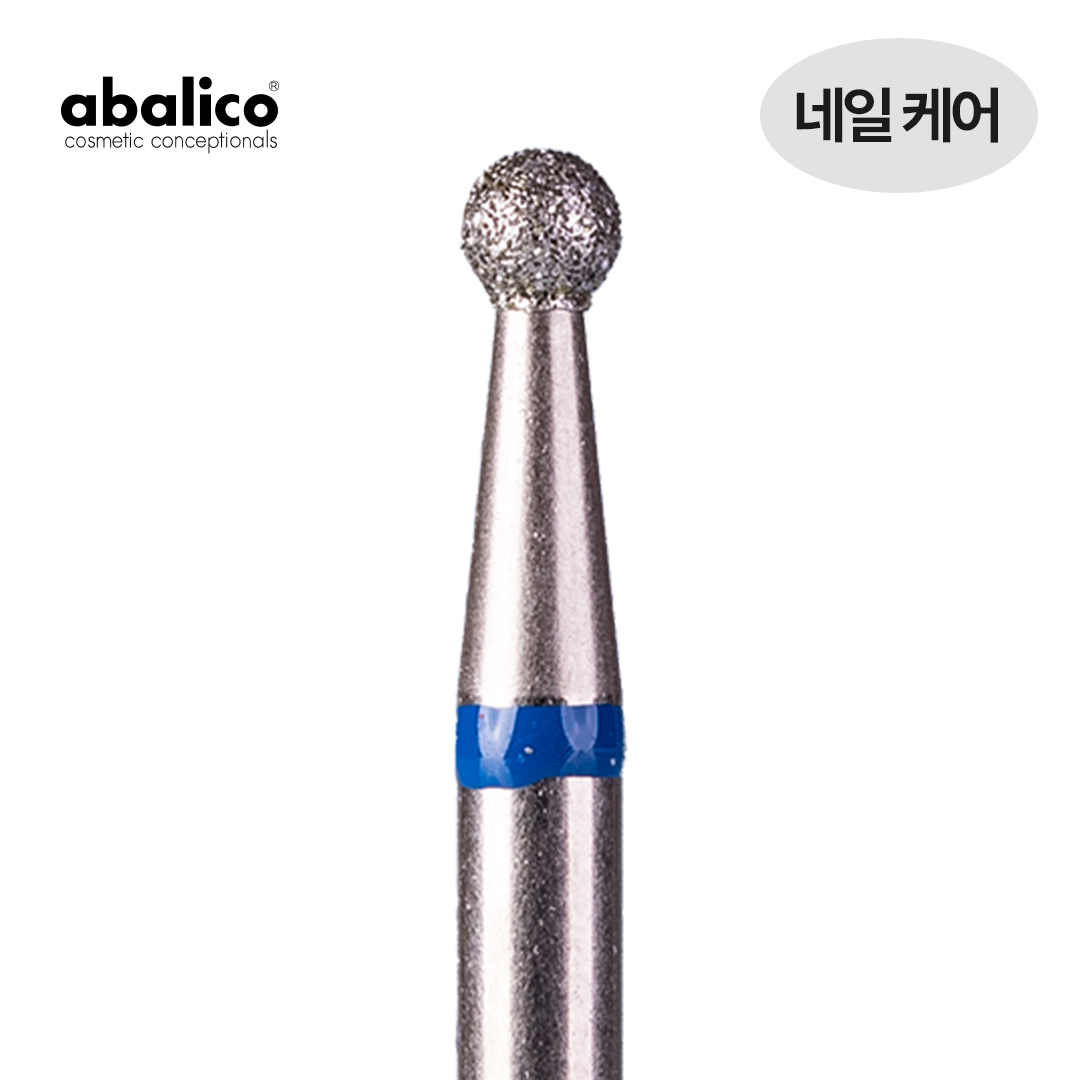 아발리코 비트-31번