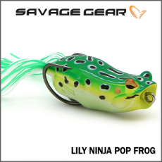 LILY NINJA POP FROG(닌자 팝 프로그)