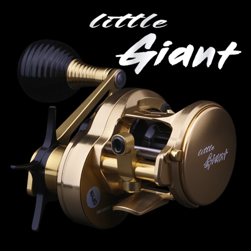 Little Giant(리틀 자이언트) Little Giant(리틀 자이언트)