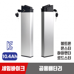 세임바이크 공용배터리 48V10.4AH