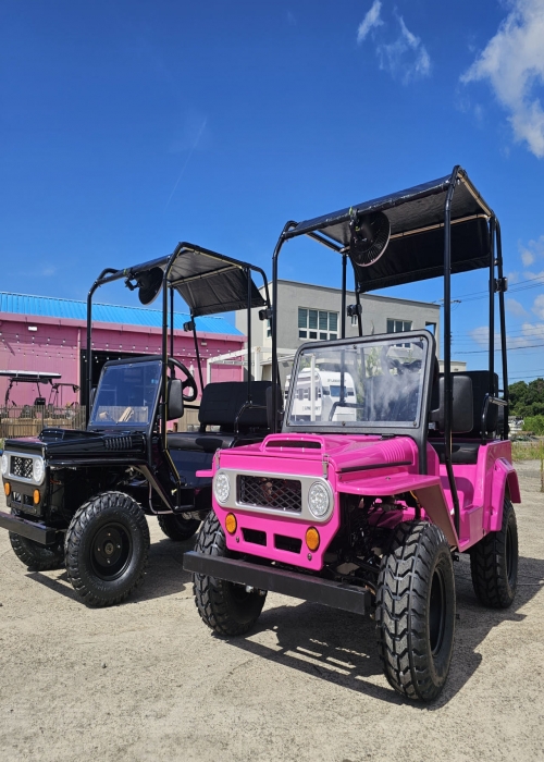 벤틀러스-본사 벤틀러스 미니E-지프 도요타버전 (배터리+풀옵션) 48V/1500W/50Ah