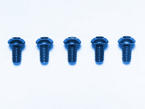 [53765] 3x6mm RHS SCREW(BLUE*5)