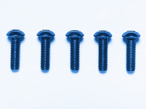 [53767] 3x10mmRHS SCREW(BLUE*5)