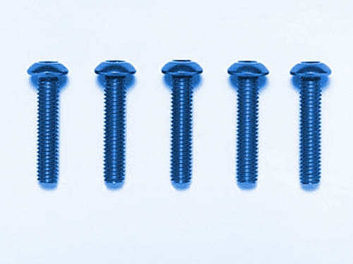 [53769] 3x14mmRHS SCREW/BLUE*5