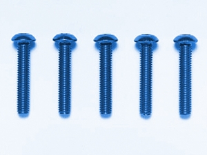 [53770] 3x16mmRHS SCREW/BLUE*5