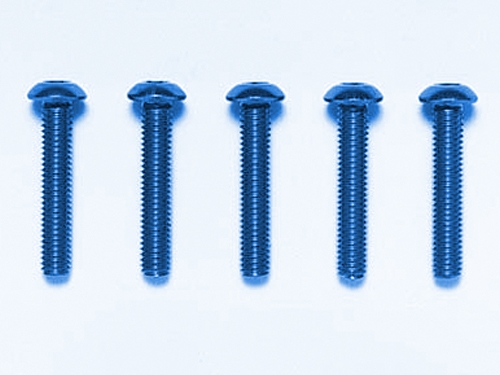 [53770] 3x16mmRHS SCREW/BLUE*5