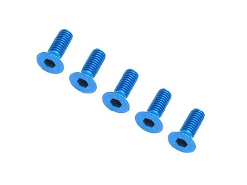 [53773] 3x10mmCHH SCREW/BLUE*5