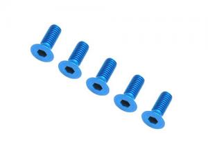 [53773] 3x10mmCHH SCREW/BLUE*5