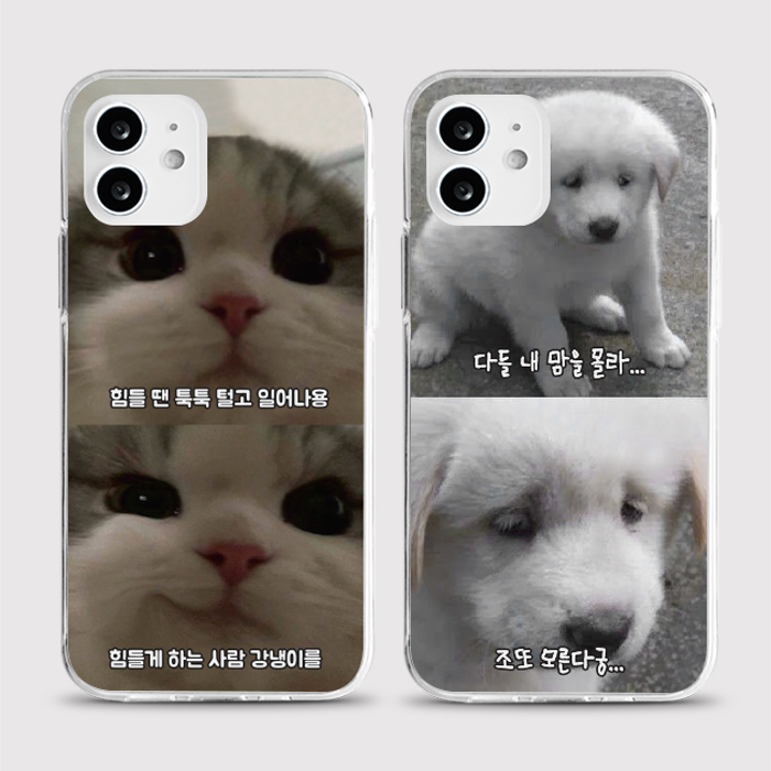 [젤리 동물짤]