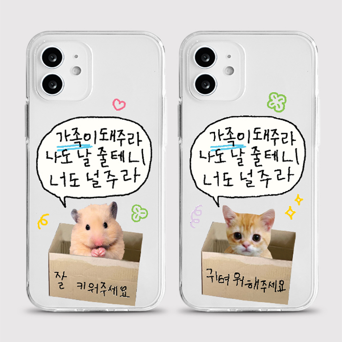 [젤리 박스햄냥]