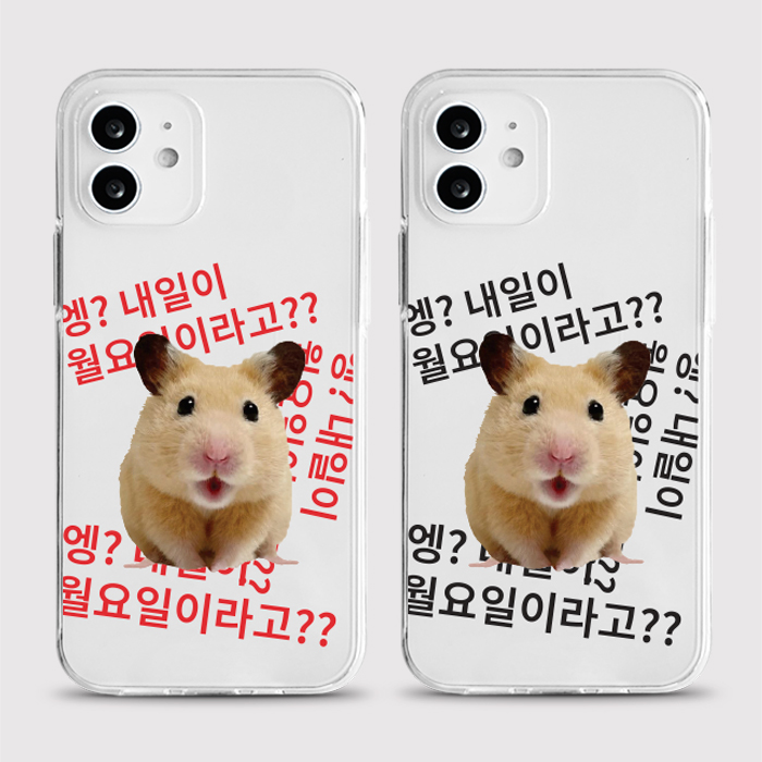 [젤리 월요일실화]