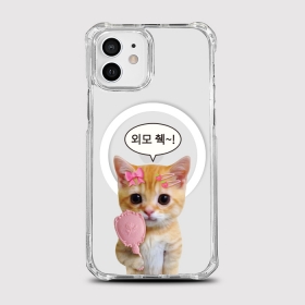 [범퍼맥세이프 외모체크]