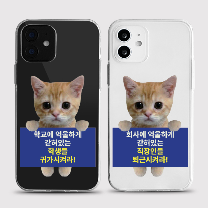 [젤리 억울하게]