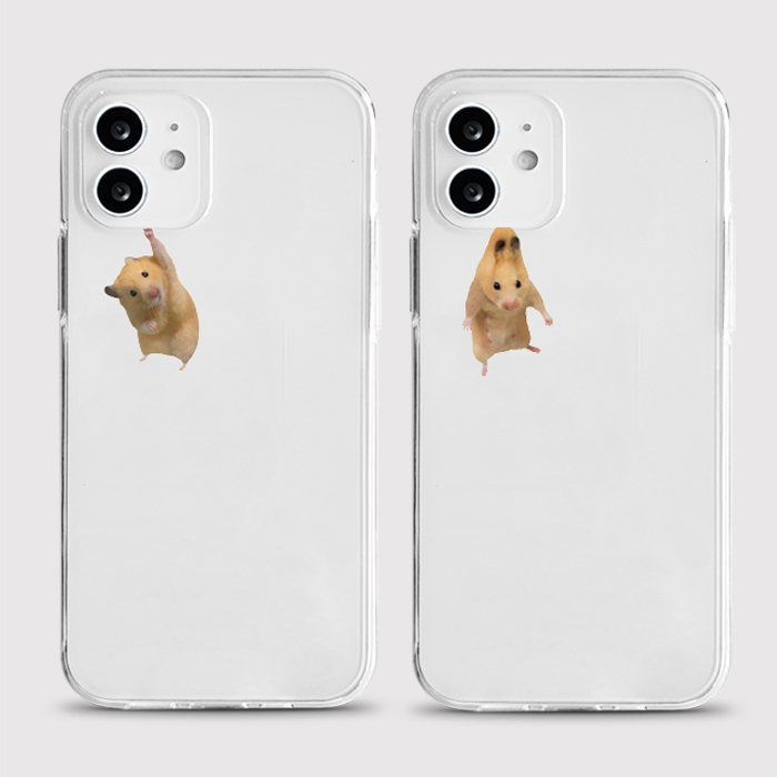 [젤리 구해조햄]