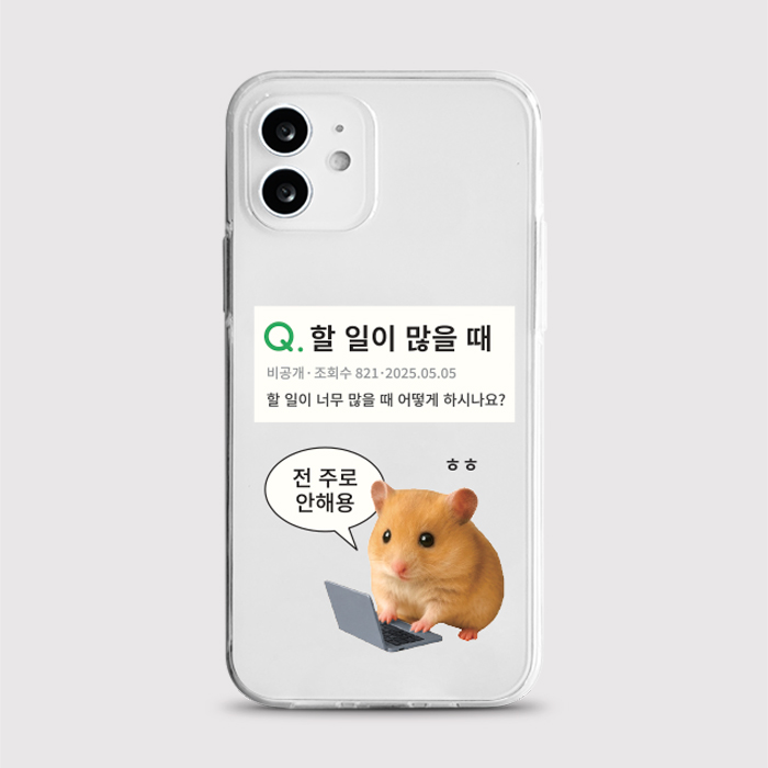 [젤리 안해용]