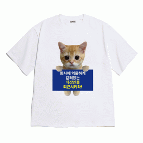 [반팔티셔츠 억울하게]