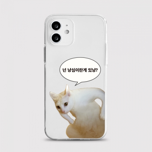 [젤리 냥심있냥]