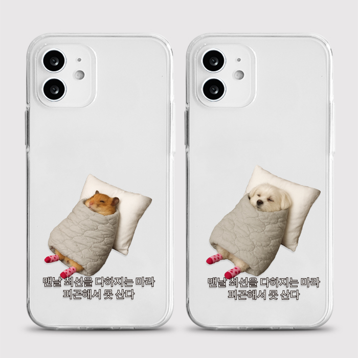 [젤리 피곤햄멍]