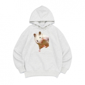 [후드티 싸우는햄]