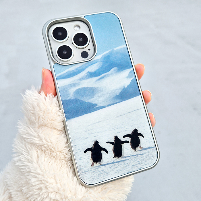 [실버프레임 펭귄친구들]