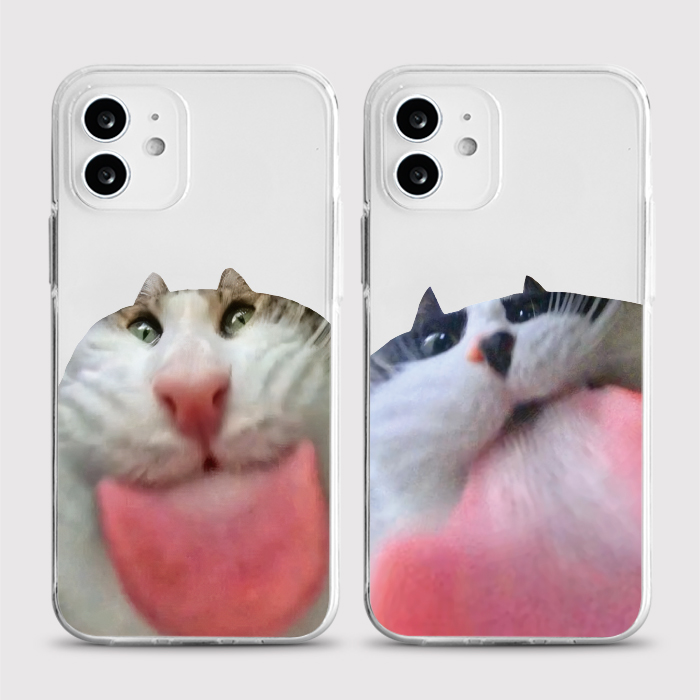 [젤리 캣그루밍]