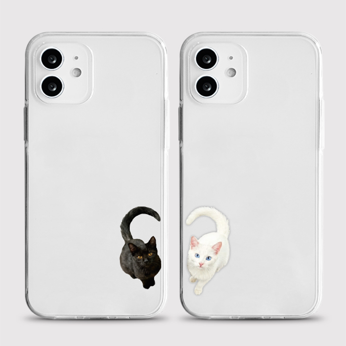 [젤리 야옹하트]