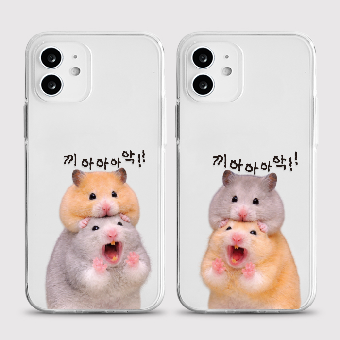 [젤리 와앙햄]