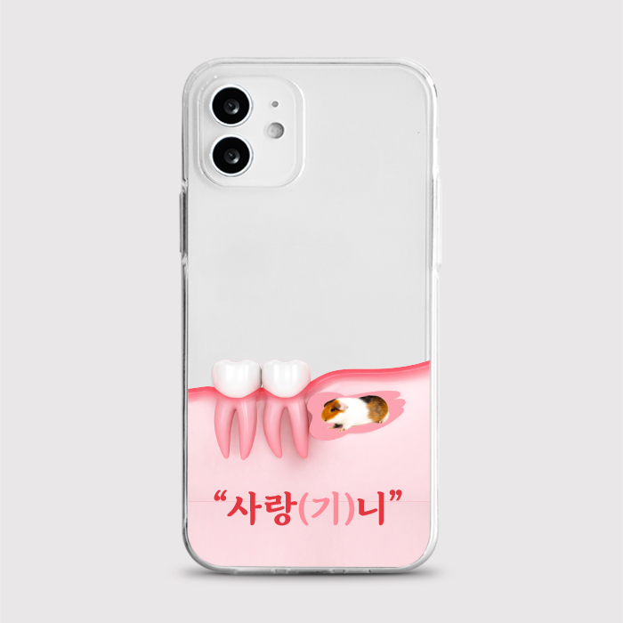[젤리 사랑기니]