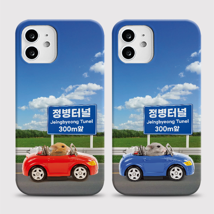 [하드 정병터널]