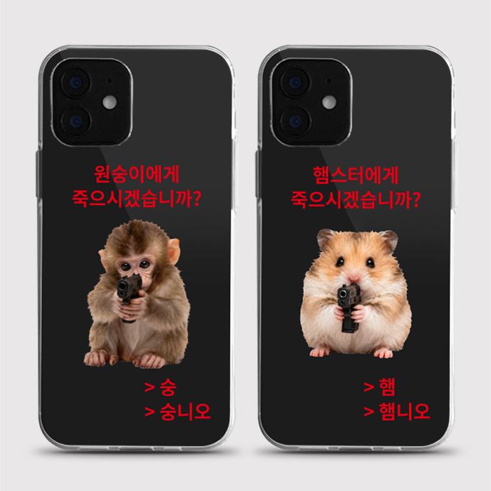 [젤리 아니오]