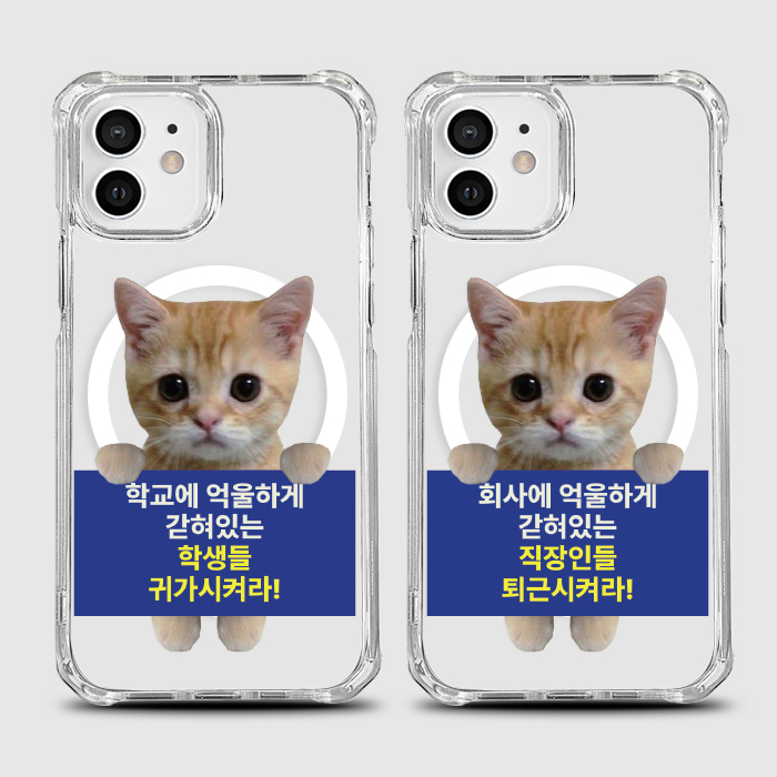 [범퍼맥세이프 억울하게]