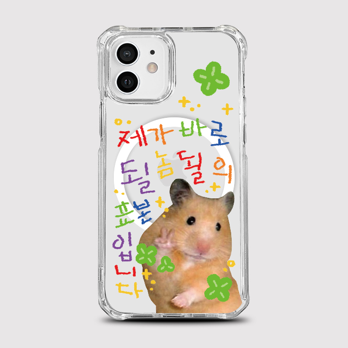 [범퍼맥세이프 될놈될]