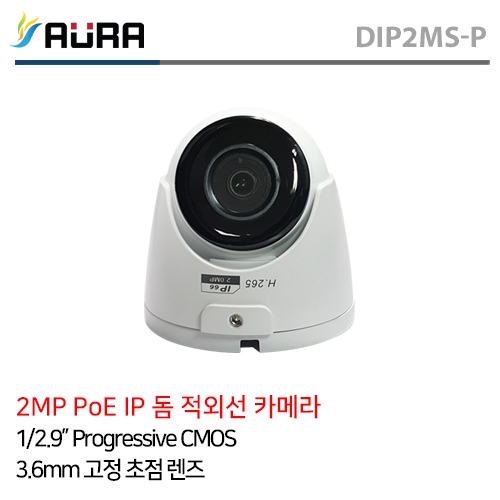DIP2MS-P 2메가 IP CCTV 실내 돔적외선 네트워크 카메라
