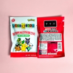 포켓몬 시크릿 마그넷 (5gX60개) 1곽