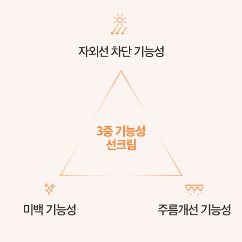 [무료배송]제주 보태니컬 선크림 5개 SET