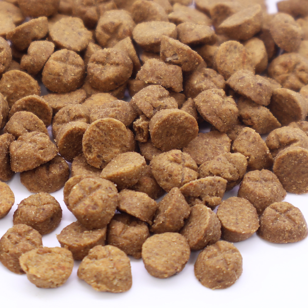 오쿡 오븐베이크드 고양이간식 치킨 쿠키 50g 오쿡 오븐베이크드 고양이간식 치킨 쿠키 50g