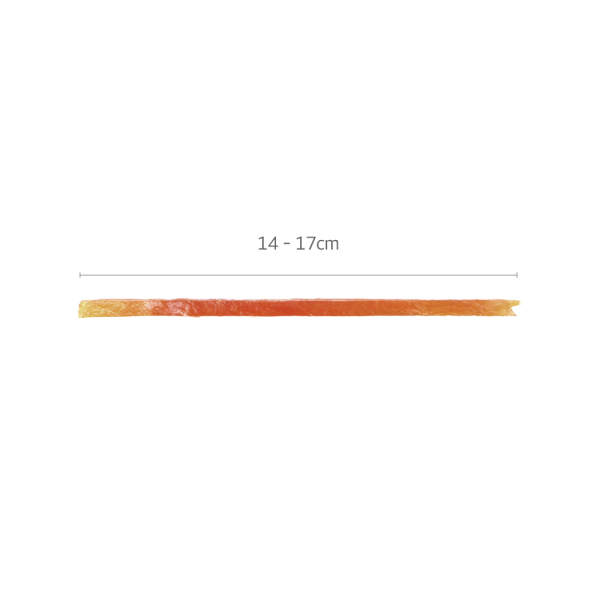 건강한육포 강아지간식 소프트 연어 슬림스틱 180g