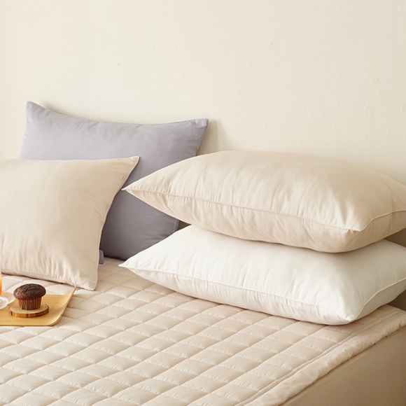 Stay Allergy-care Dust-free Pillow Cover