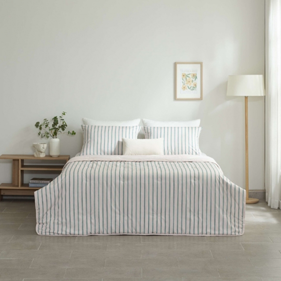 Retro Allergy-care Comforter Pillow set (D)