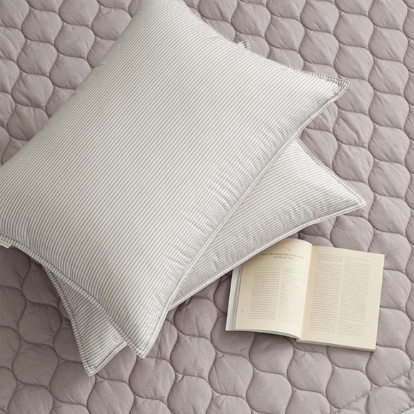 Porter Allergy-care Pillow Cover