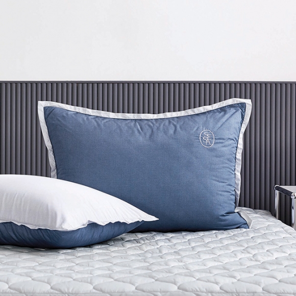 Firenze Allergy-care Pillow Cover