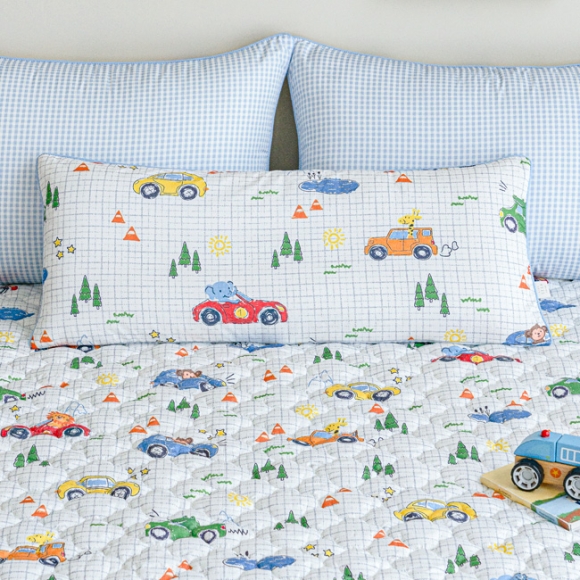 Hello Friends Allergy-care Wide Pillow Cover