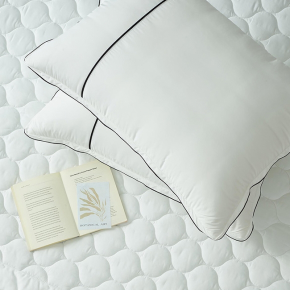 Muse Allergy-care Pillow Cover