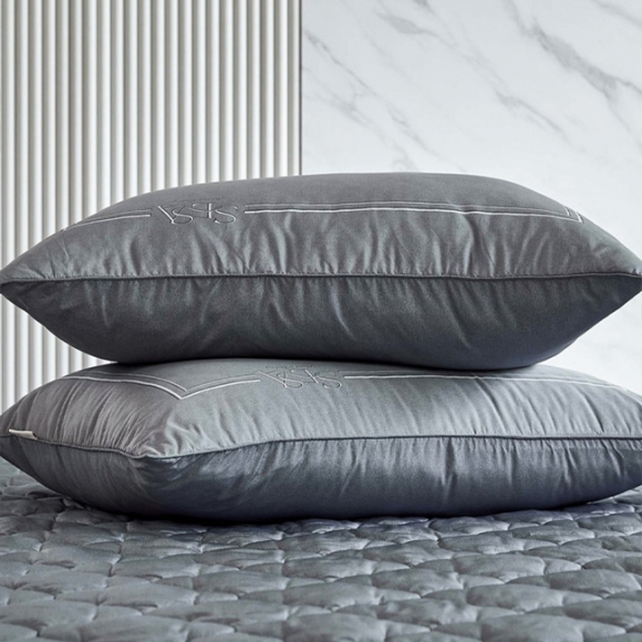 Authentic Allergy-care Pillow Cover