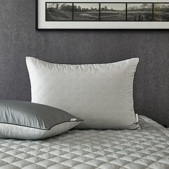 Tea ramie Allergy-care Pillow Cover